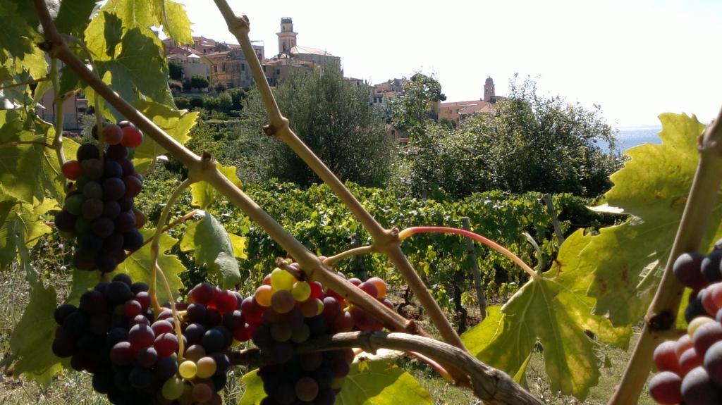 B&B Ca' De Pippu Diano Castello Extérieur photo