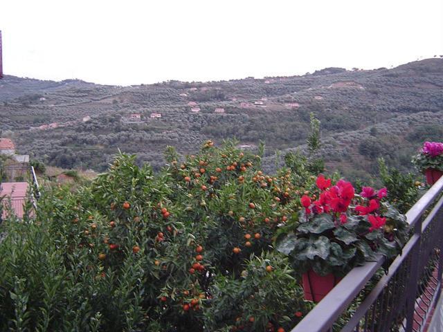 B&B Ca' De Pippu Diano Castello Extérieur photo
